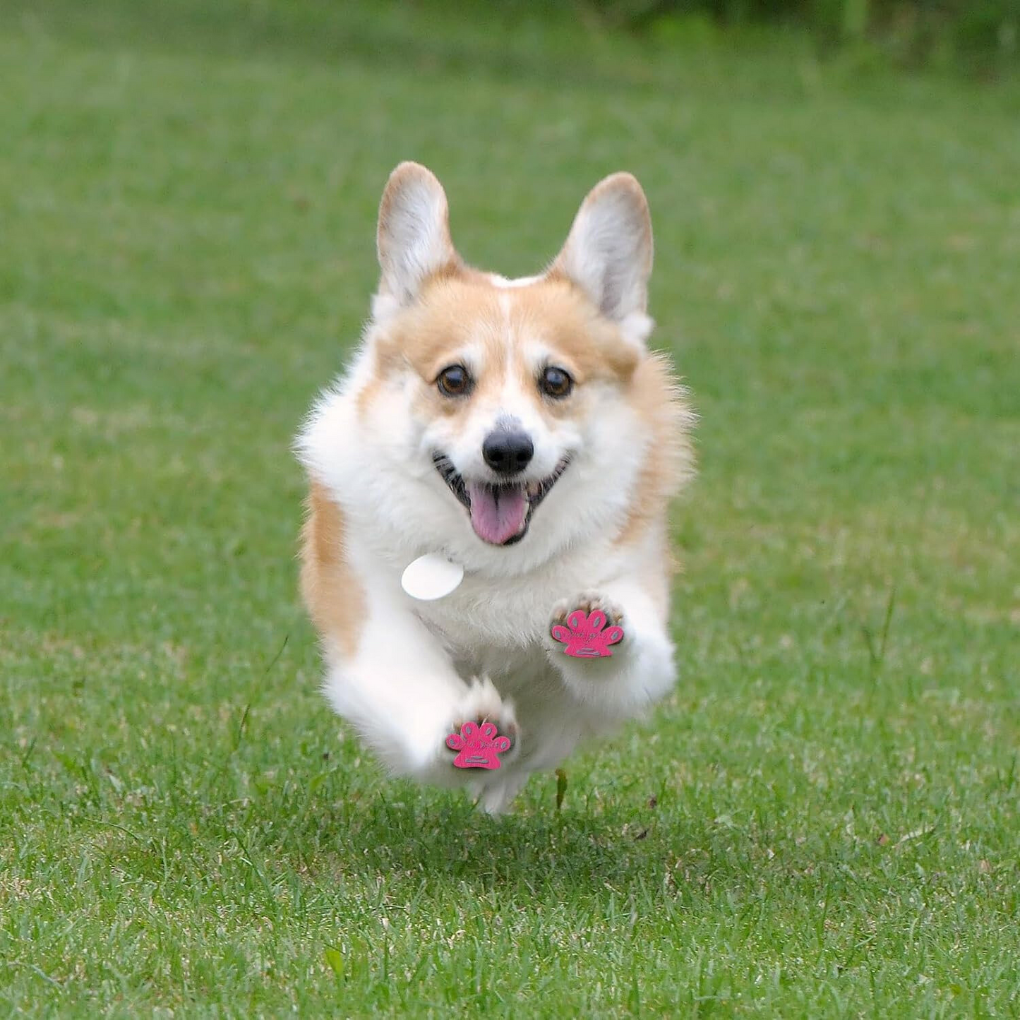 Dog Paw Pads Anti-Slip