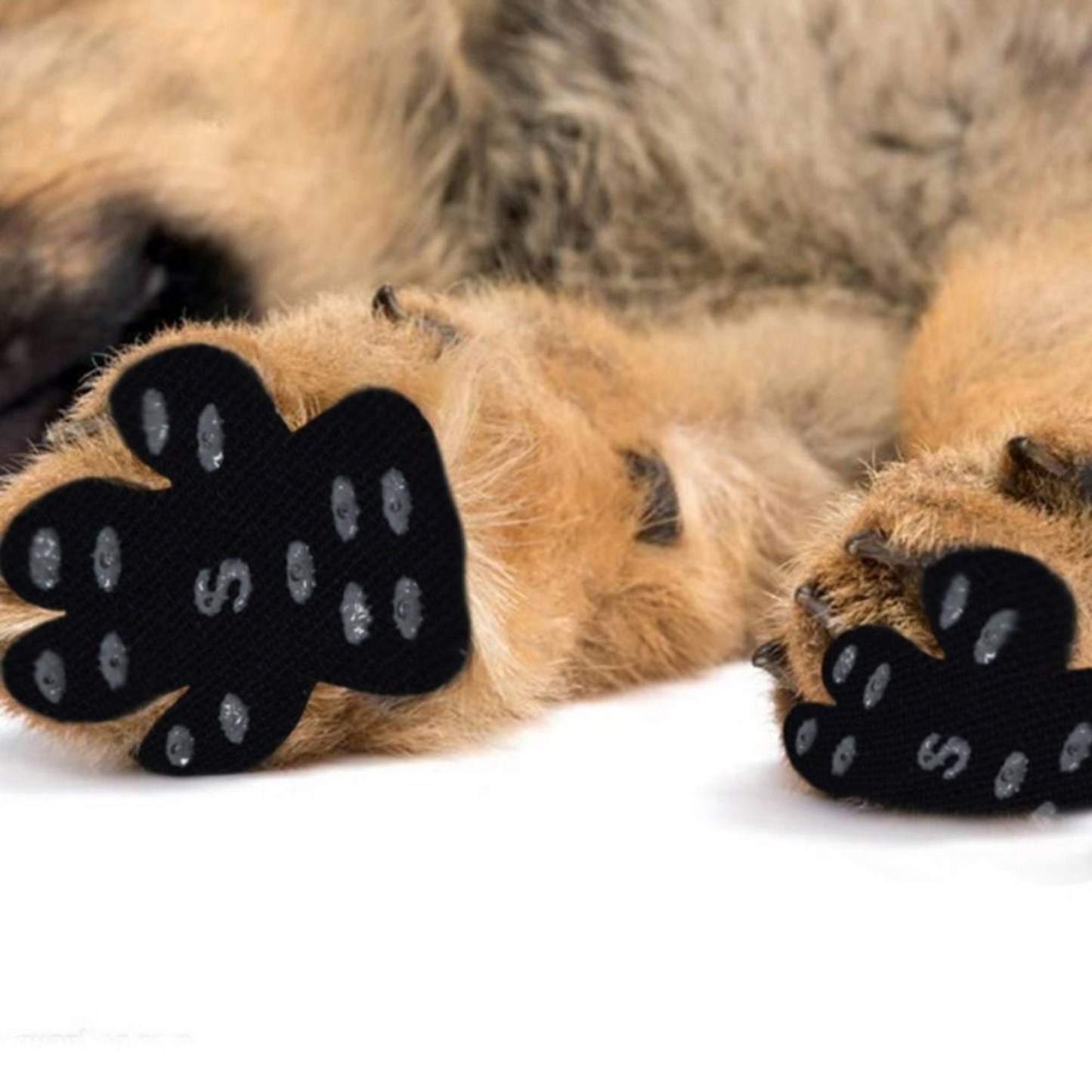 Dog Paw Pads Anti-Slip