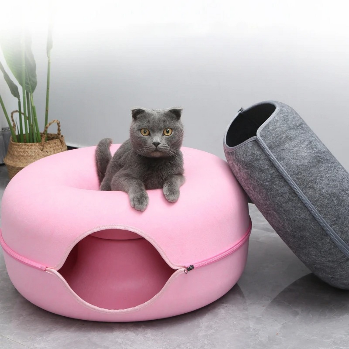 Pet Donut Interactive