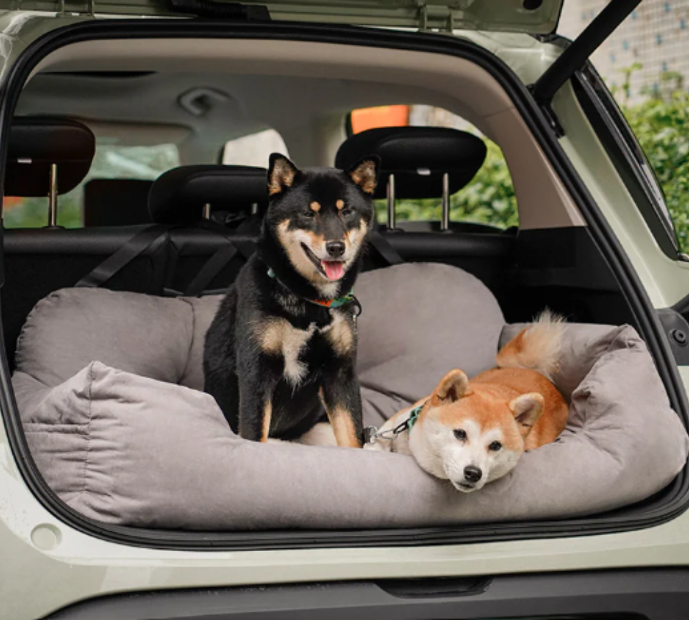 Travel Bolster Safety Medium Large Dog Car Back Seat Bed