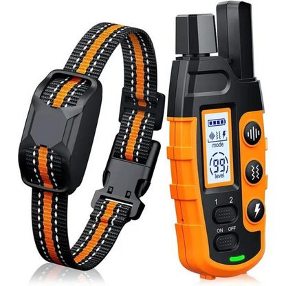 Training Collar with Remote