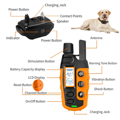 Training Collar with Remote