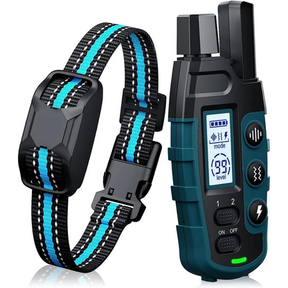 Training Collar with Remote