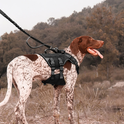 Tactical Dog Harness No Pull