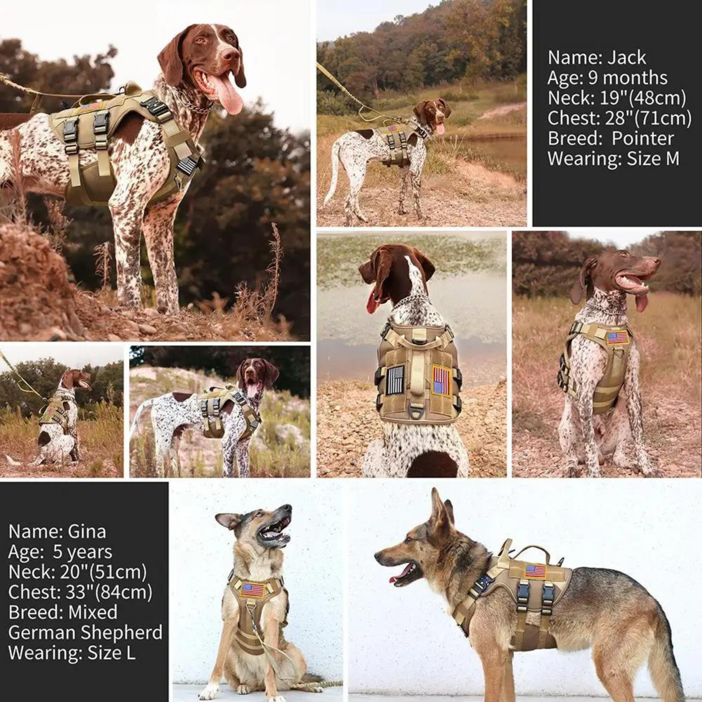 Tactical Dog Harness No Pull