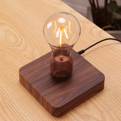 Magnetic Levitation Lamp