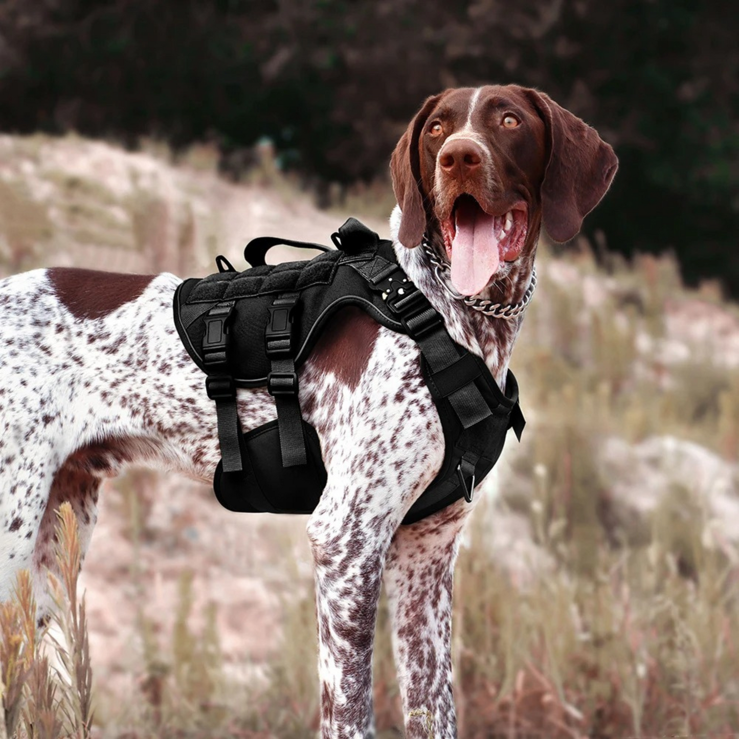 Tactical Dog Harness No Pull