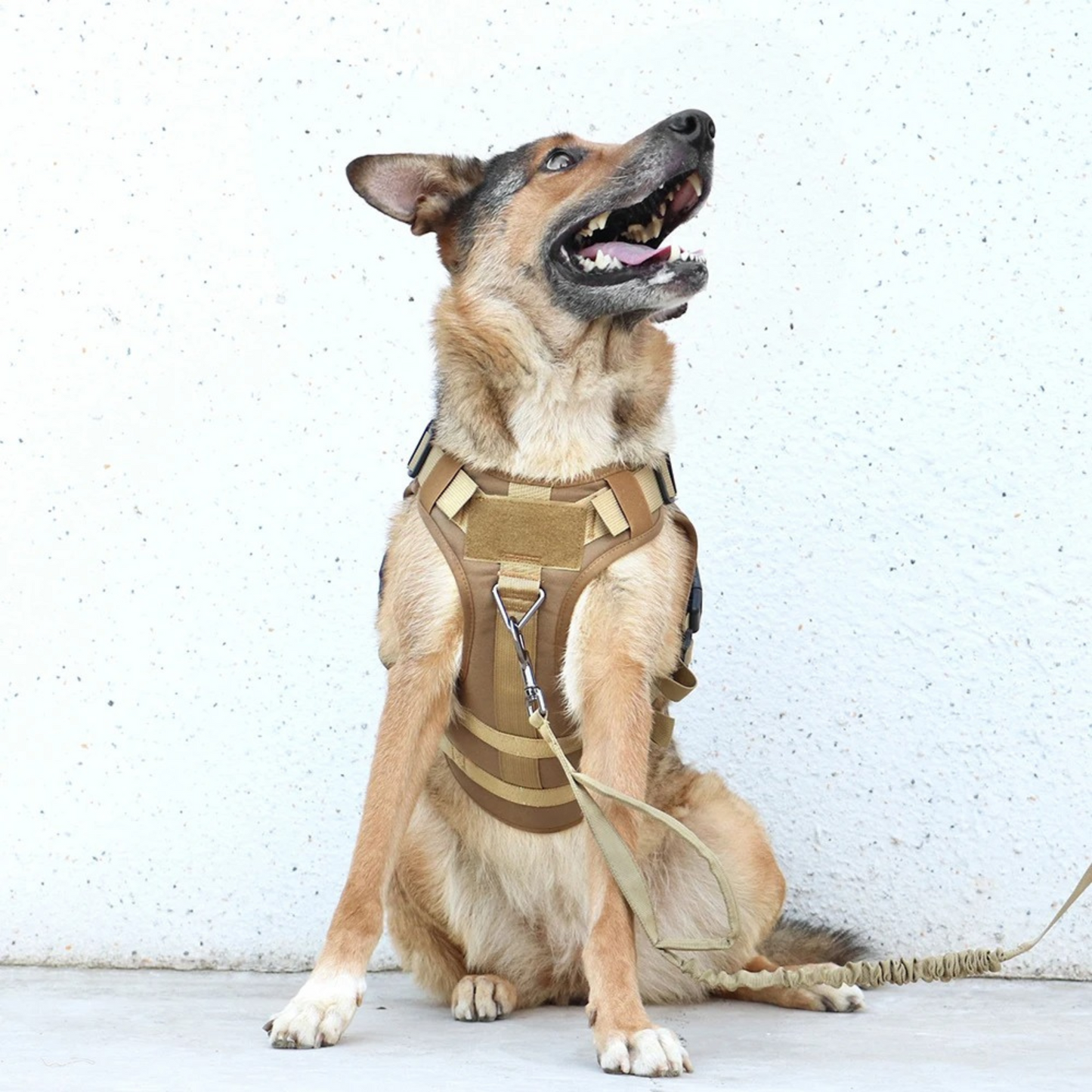 Tactical Dog Harness No Pull