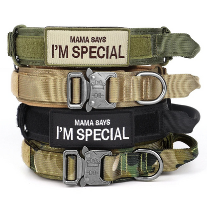 ,,I'm Special'' Tactical Dog Adjustable Collar