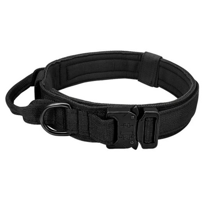 ,,I'm Special'' Tactical Dog Adjustable Collar