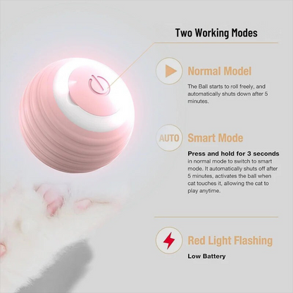 donthe Led Electric Pet Ball Toy