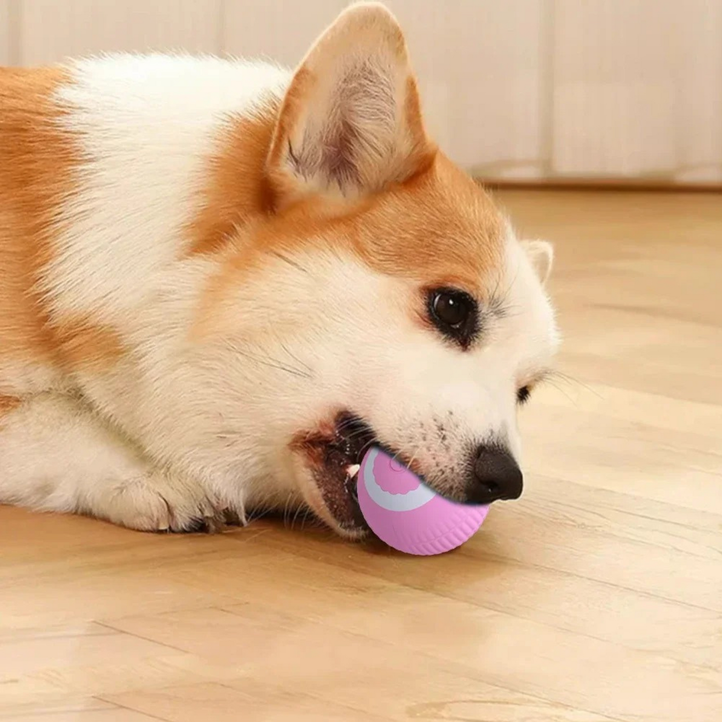 donthe Led Electric Pet Ball Toy