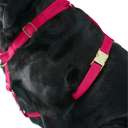 donthe Dog Harness