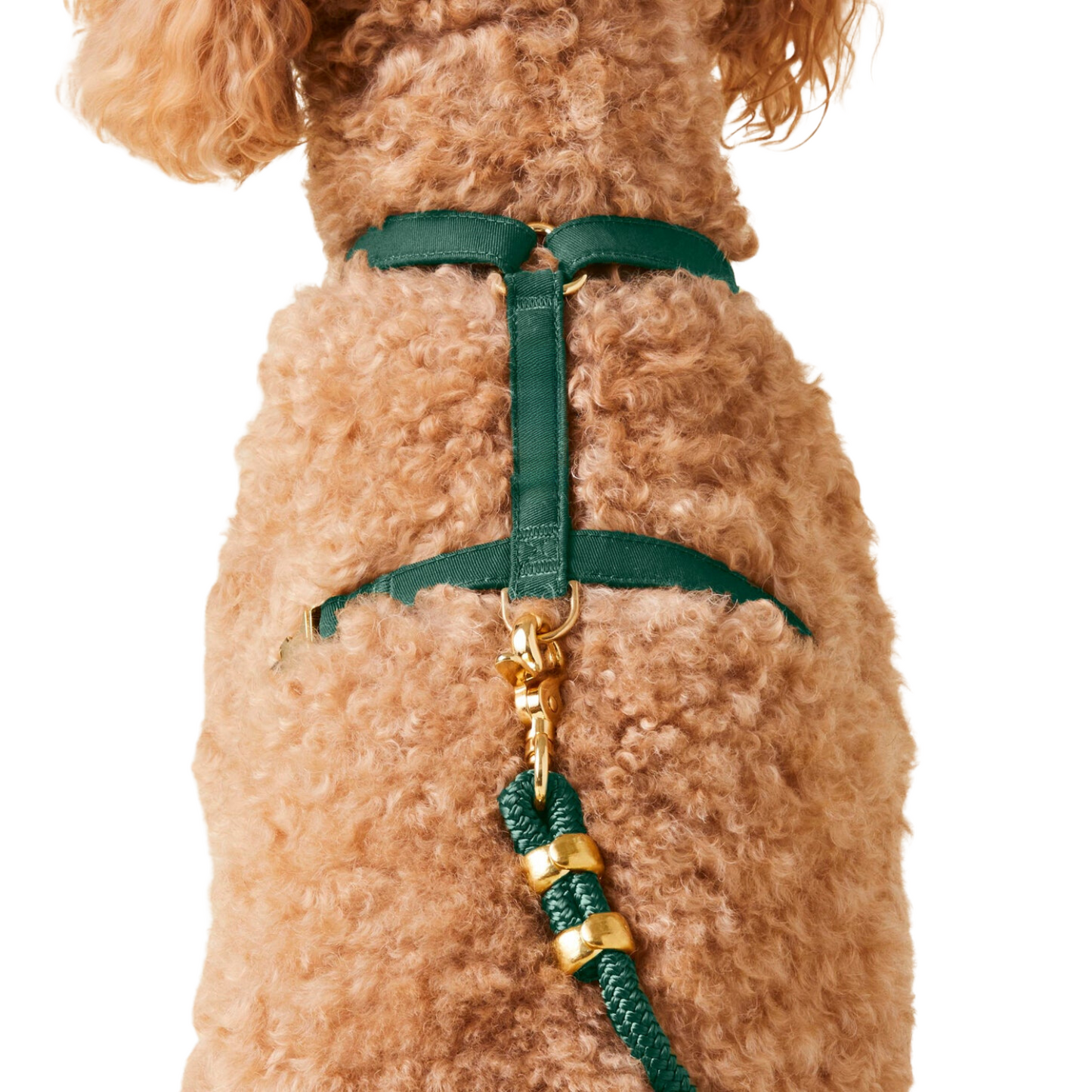 donthe Dog Harness