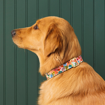 Bark & Style Collars