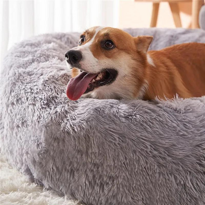 Calming Dog & Cat Bed