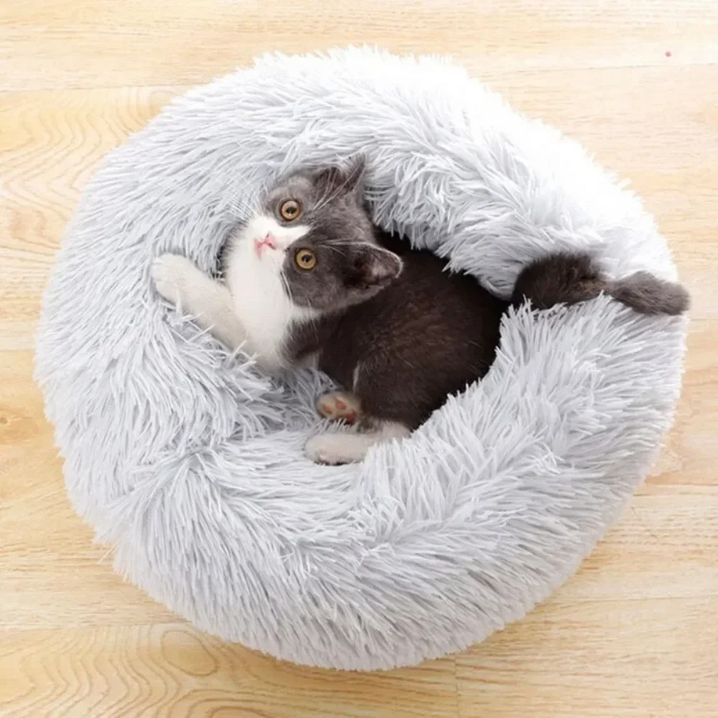 Calming Dog & Cat Bed