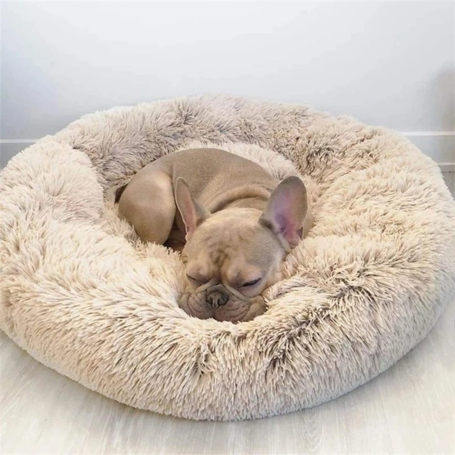 Calming Dog & Cat Bed