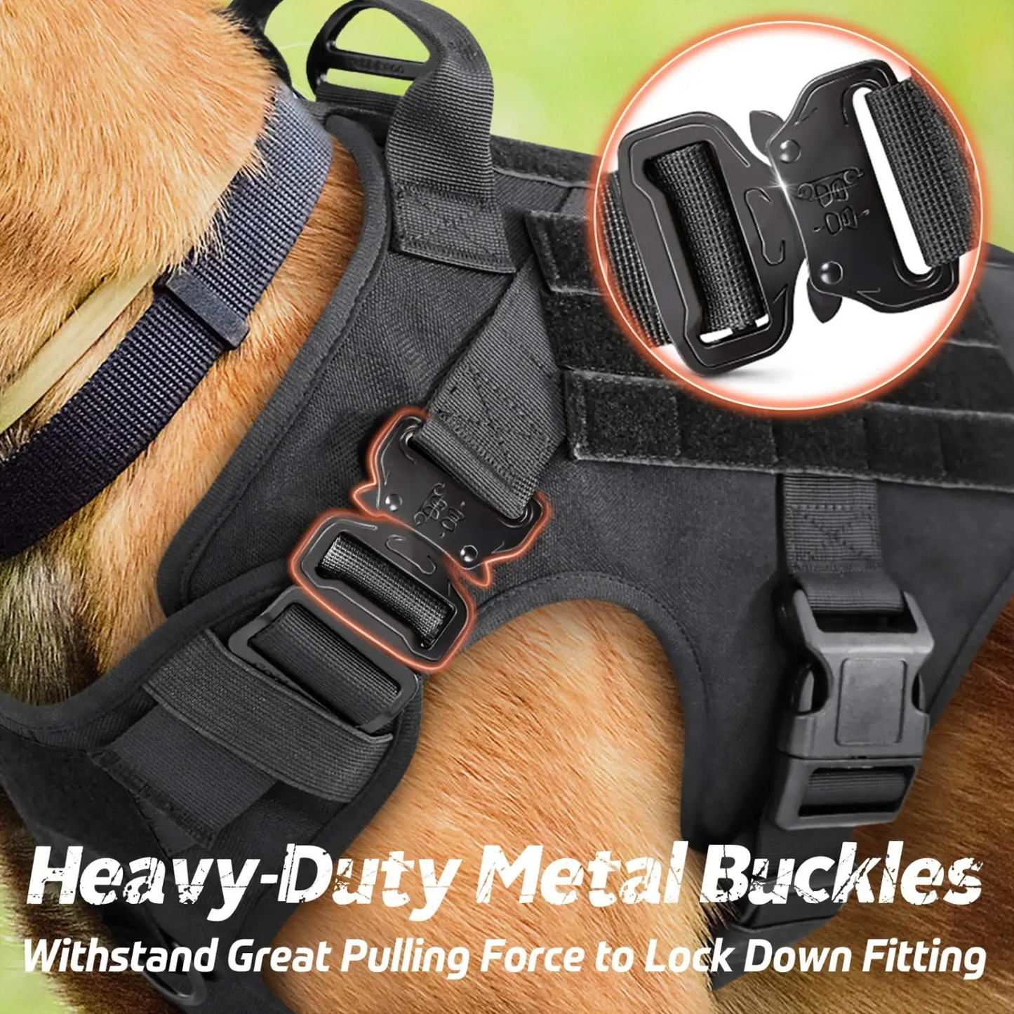 Adjustable Control Dog Harness