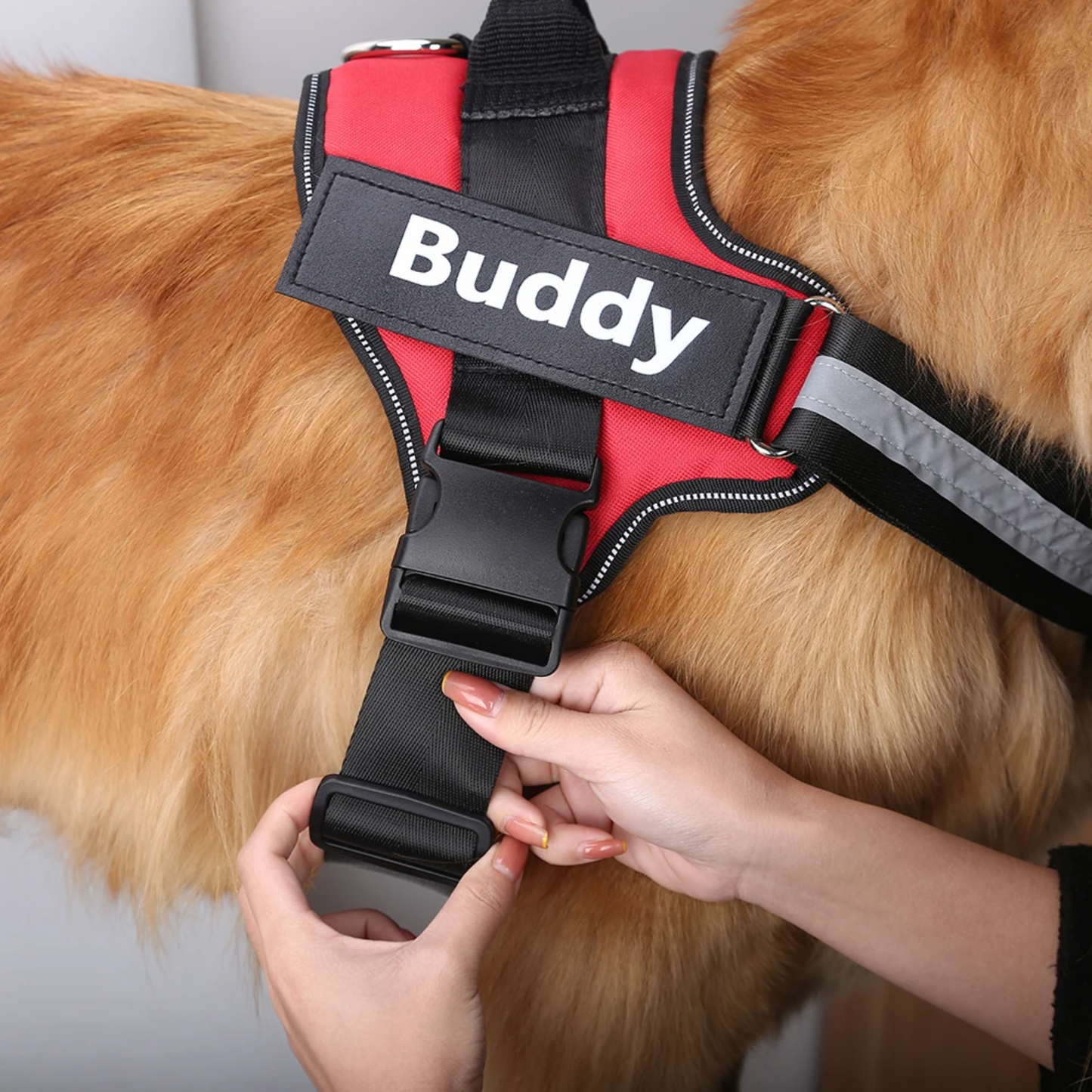 Adjustable Neck Harness