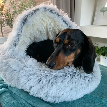 donthe Premium Pet Bed