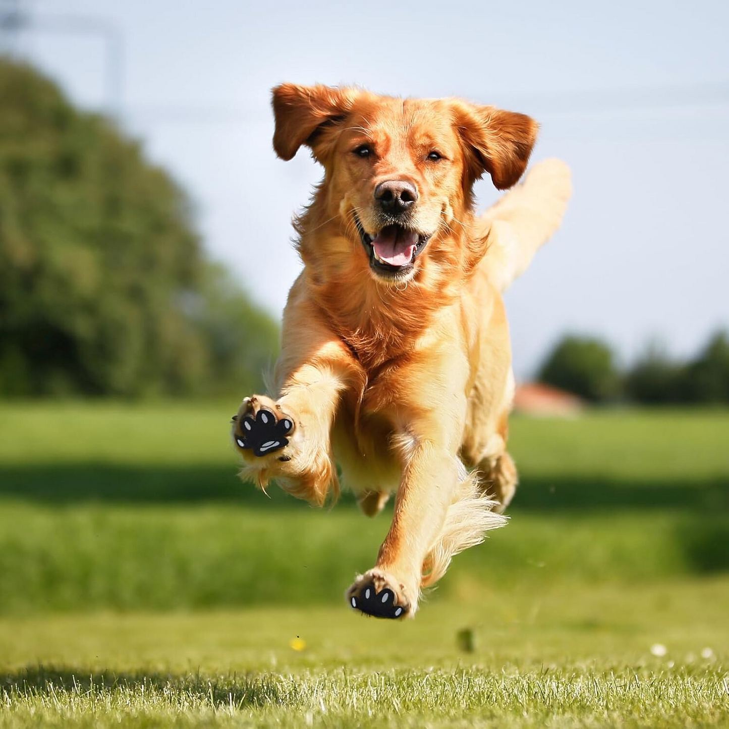 Dog Paw Pads Anti-Slip