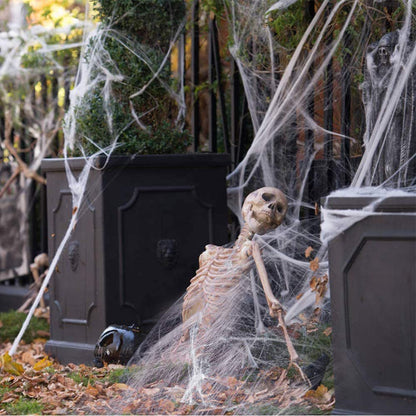 🕸️🕷️ Luminous Spider Web