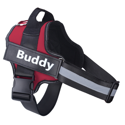 Adjustable Neck Harness