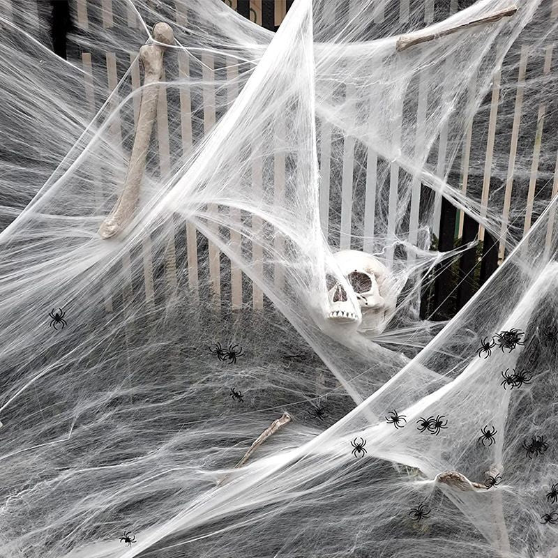 🕸️🕷️ Luminous Spider Web